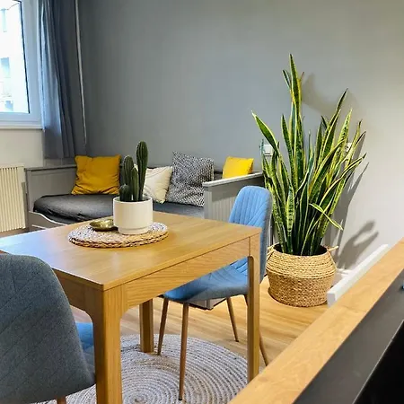 Apartment Myslbekova 16 *
