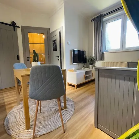 Apartment Myslbekova 16 *