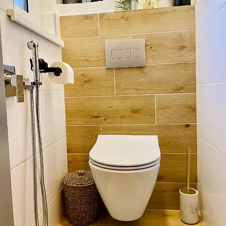 Myslbekova 16 Apartment Ostrava